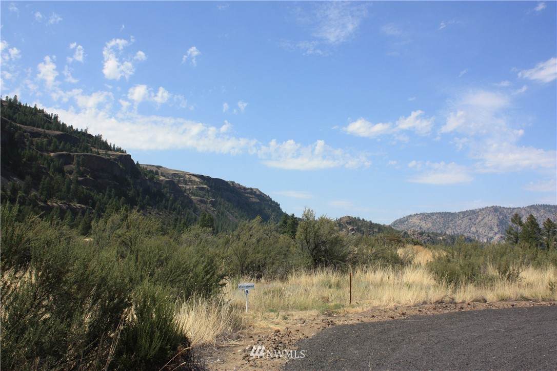 39395 Bluff Overlook Pt - Photo 1