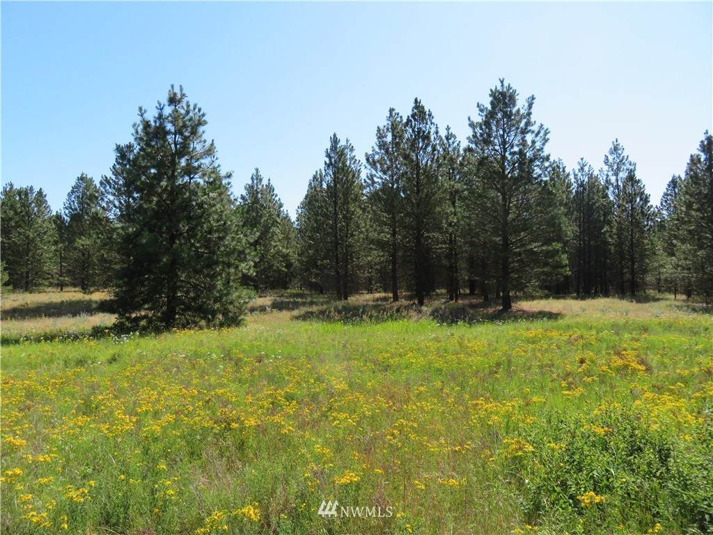 0 Sourdough Flats Road - Photo 1