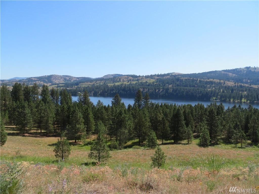 0-Lot 2 Sourdough Flats Rd - Photo 1