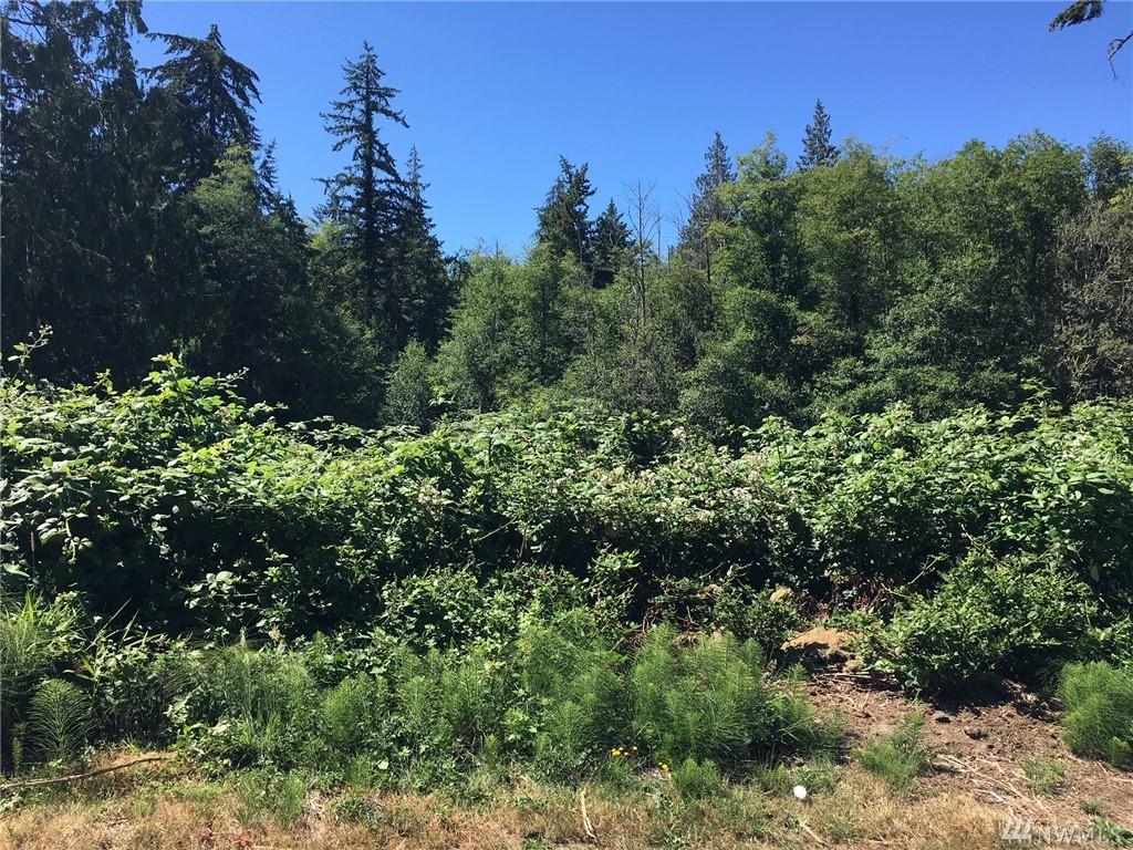 4955 Reindeer Rd - Photo 1