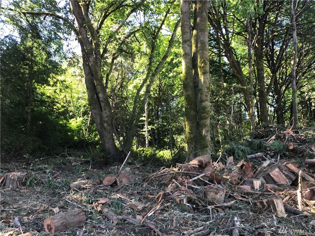 0 Jared Rd - Photo 1