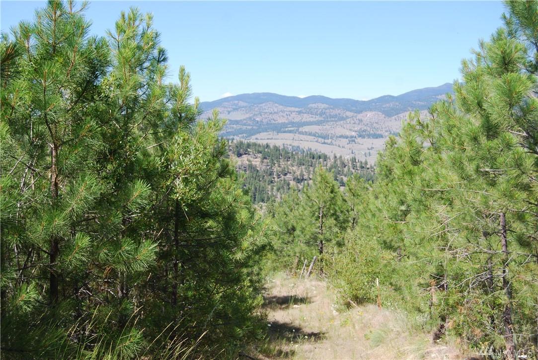 11112 Patterson Creek - Photo 1