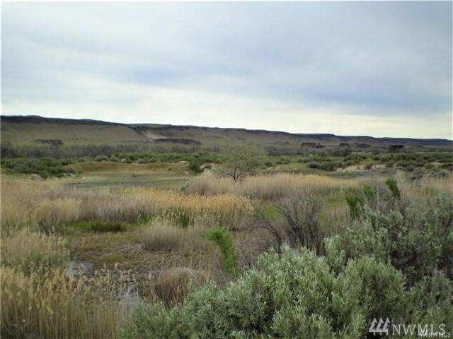 0-NNA Lower Crab Creek Road - Photo 1