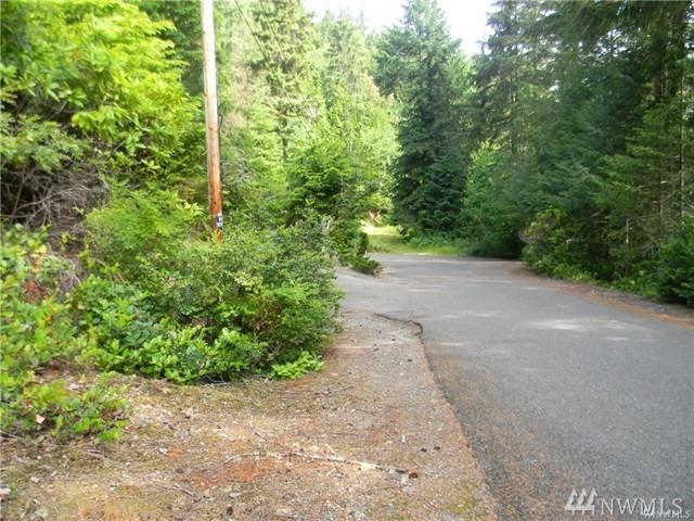 0 Paradise Dr - Photo 1