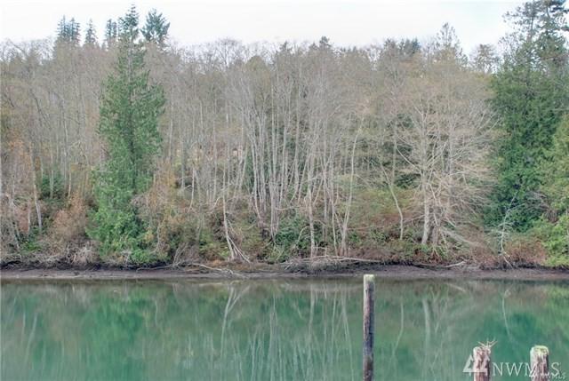 0-Lot 5 South Point Rd - Photo 1