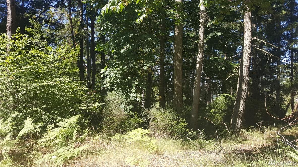 12314 Cole Point Dr - Photo 1