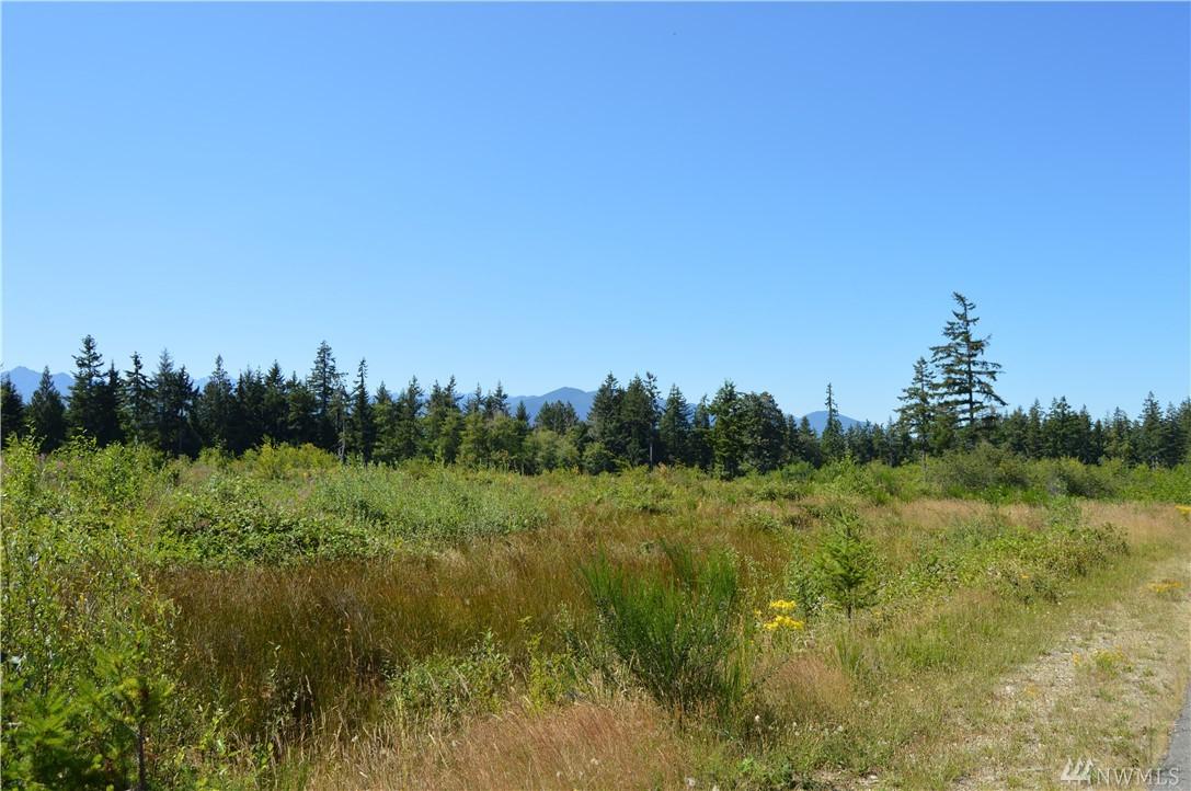0 Turko (Lot 11) Lane - Photo 1