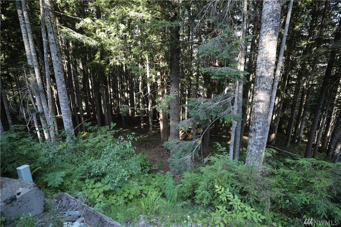 0 Snoqualmie Dr - Photo 1