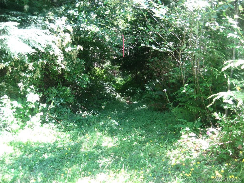 0 Outback Avenue - Photo 1