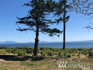 2222 Seabright Lp - Photo 1