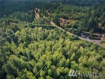 31830 Big Rock Rd - Photo 1