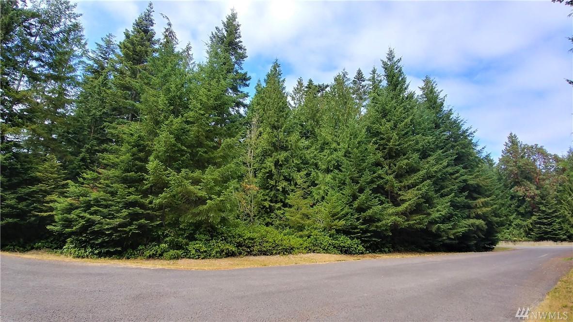 999 Antler Ct - Photo 1