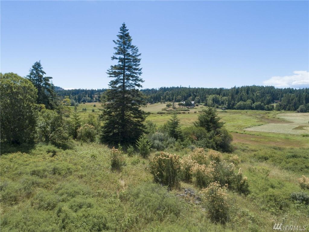 0-xxx Saddle Rd - Photo 1