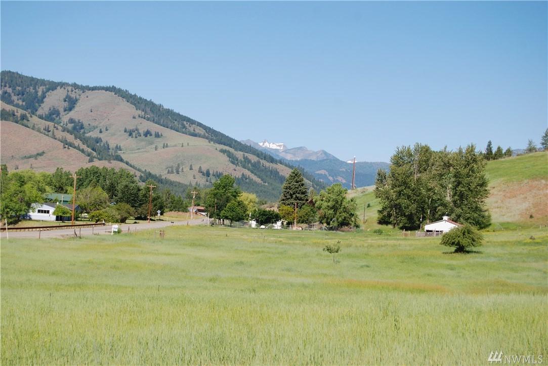 194 Twisp River Rd - Photo 1