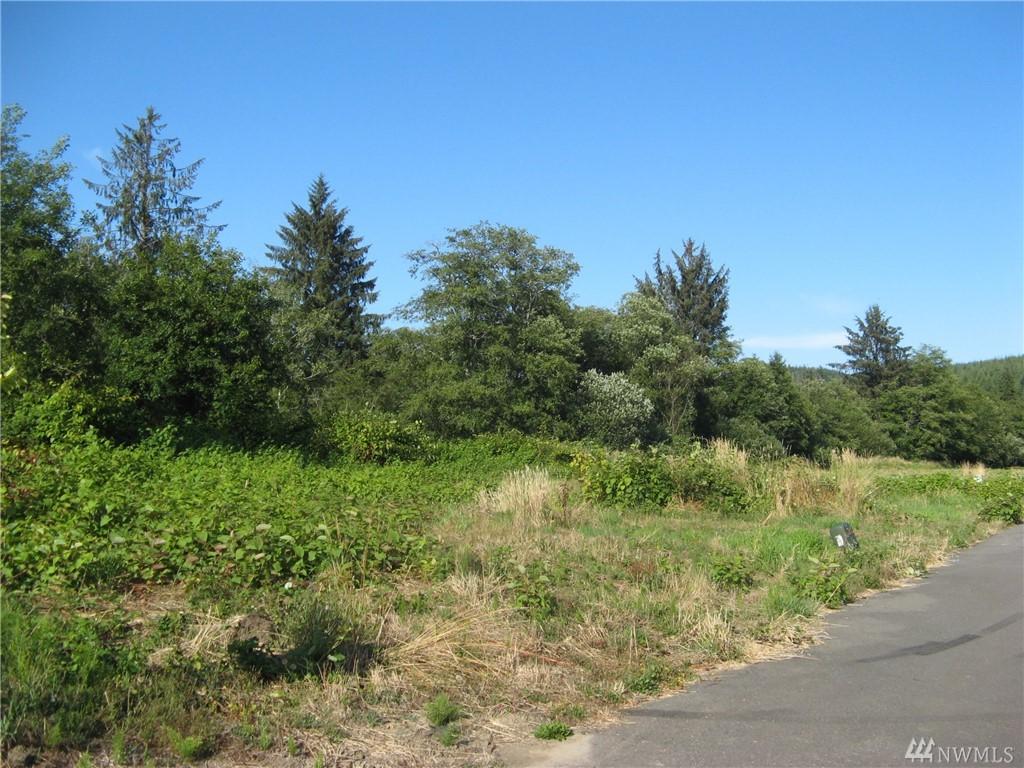 0 Broadway Ave - Photo 1