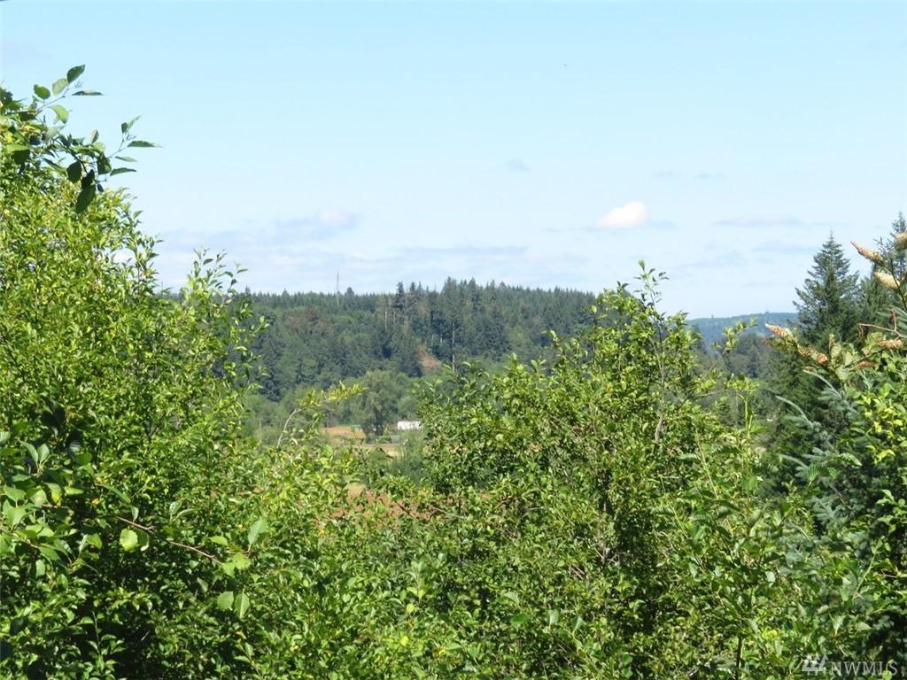132 Roslyn Lane - Photo 1