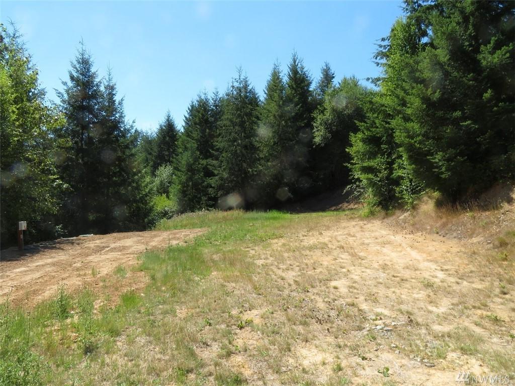 123 Roslyn Lane - Photo 1