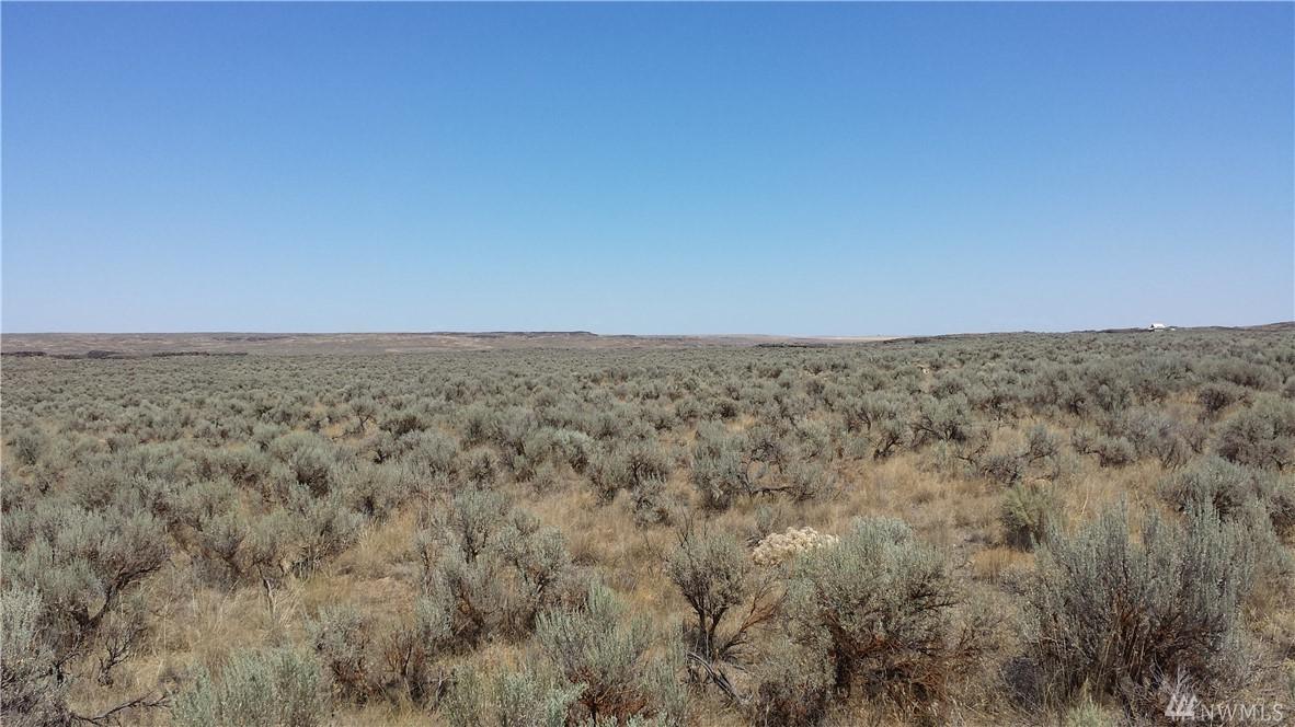 53 Eagle Springs Ranch - Photo 1
