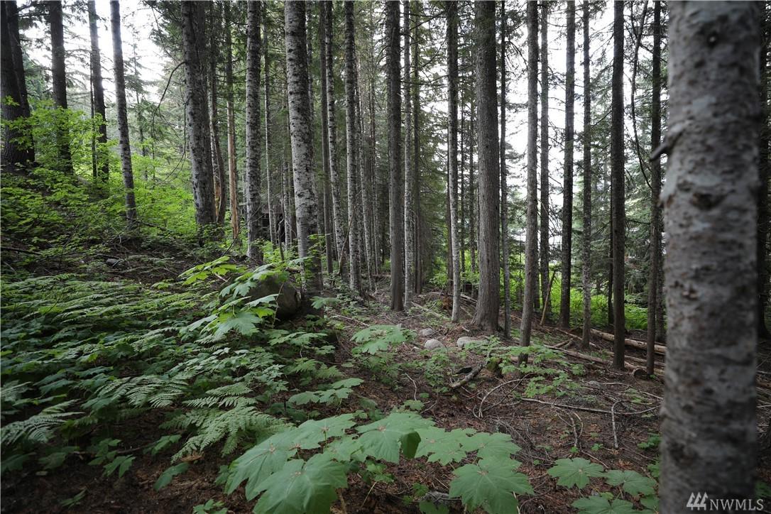 41-lot 41 Snoqualmie Dr - Photo 1