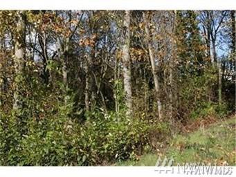 1800 Puget Dr - Photo 1