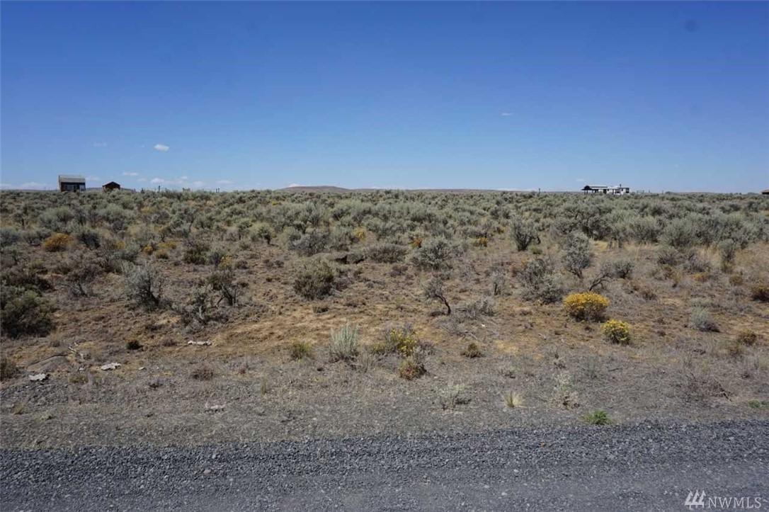 23173 Appaloosa Wy - Photo 1