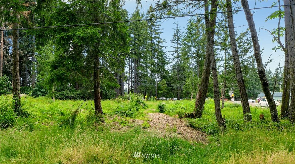 37000 Military Road - Photo 1