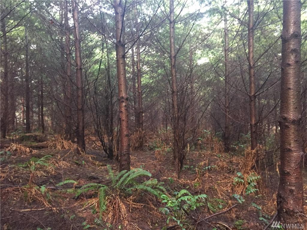 0 Lot 13 Grand Ridge - Photo 1