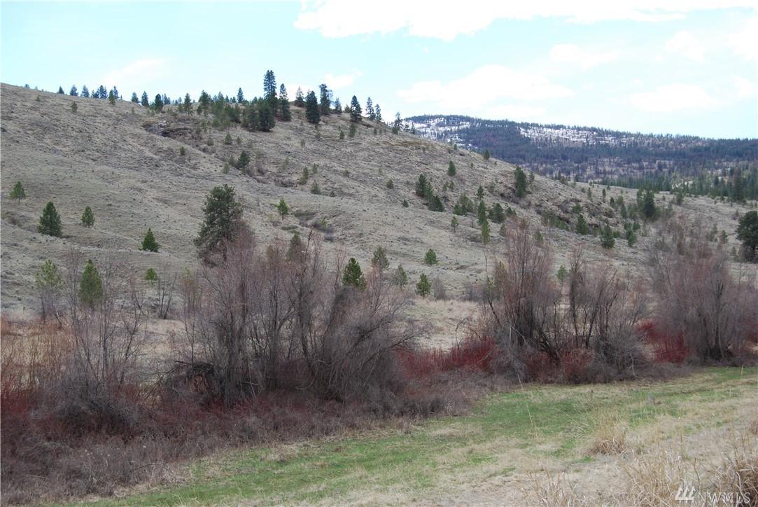 100001 Reevas Basin - Photo 1