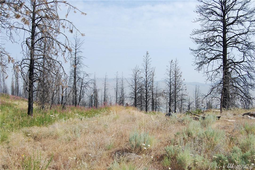 100003 Hosheit Rd - Photo 1