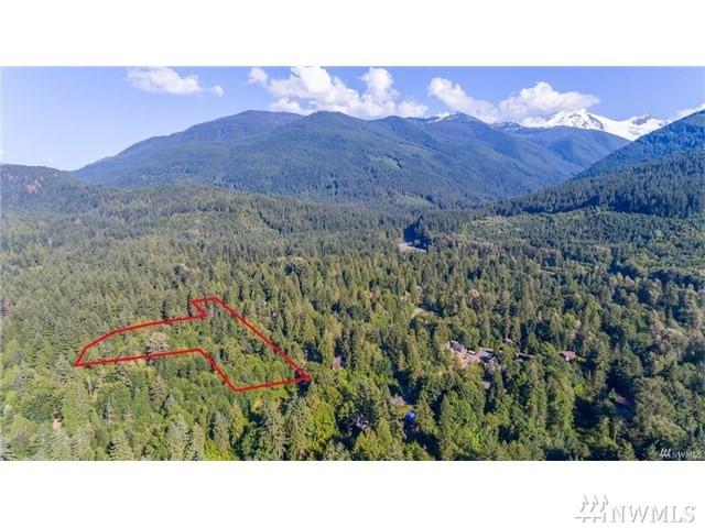 10287 Old Mt. Baker Hwy - Photo 1