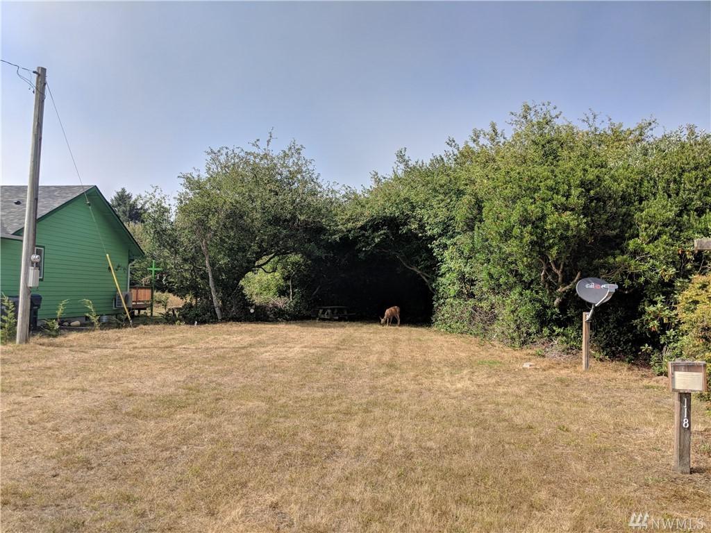 118 Pacific Blvd - Photo 1