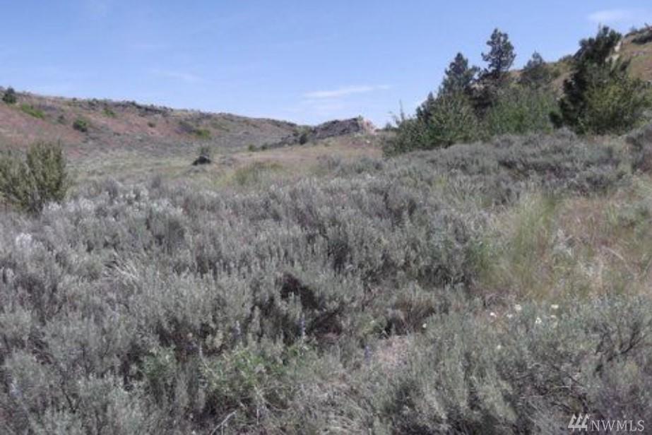 223-R Cameron Lake Loop Rd - Photo 1