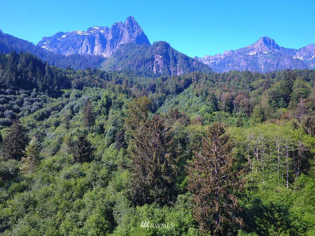 49 Xxx Mt. Index River Road - Photo 1