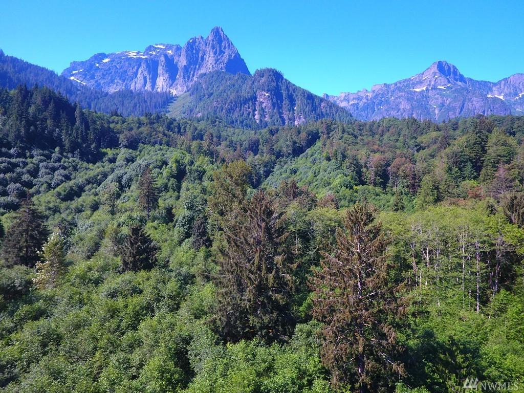 49 Xxx Mt. Index River Road - Photo 1