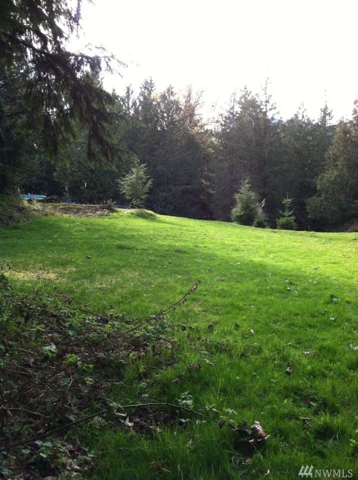 113 Maple Ave - Photo 1