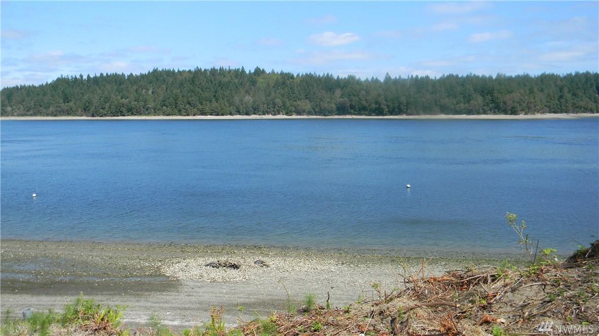 165 Moonlight Oasis - Photo 1