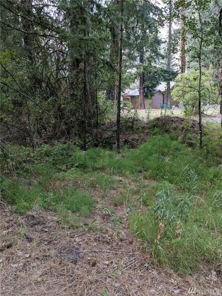 101010 Rio Vista Lane - Photo 1