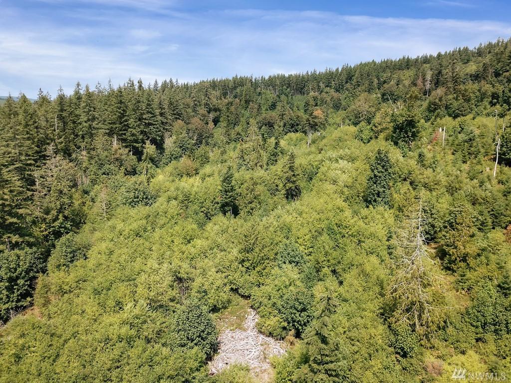 0 Summit Lake Rd - Photo 1