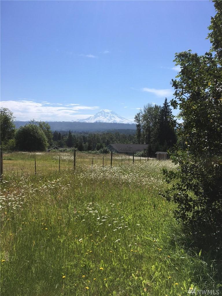 12516 Kapowsin Highlands Dr - Photo 1