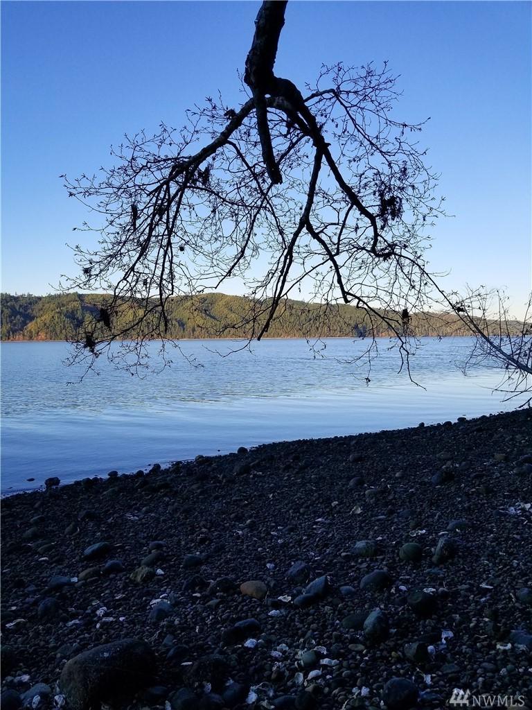 32800 Us Highway 101 - Photo 1
