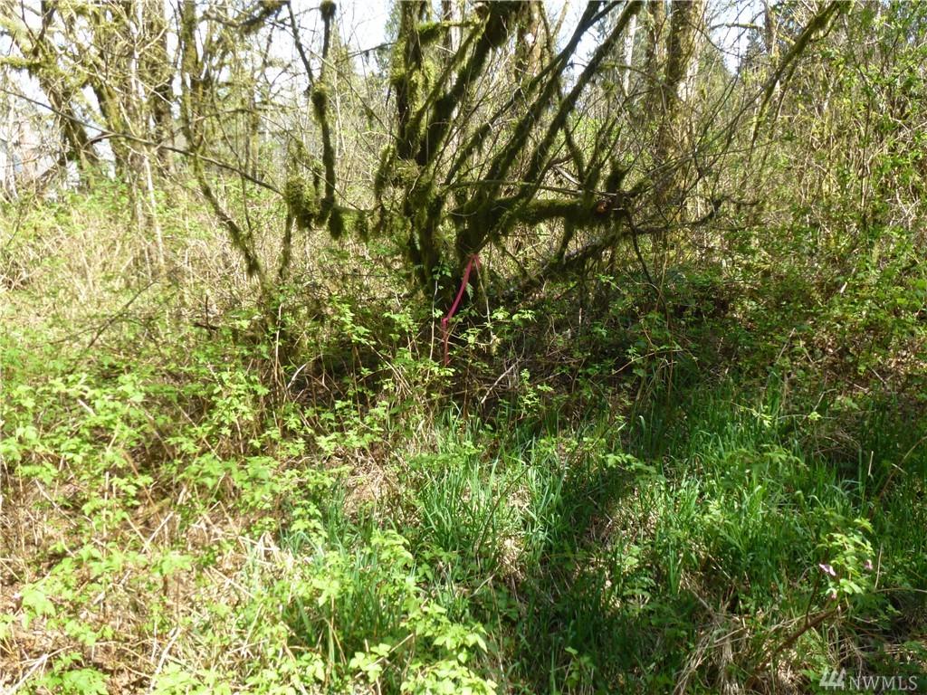 160-XX Bel-Red Rd - Photo 1