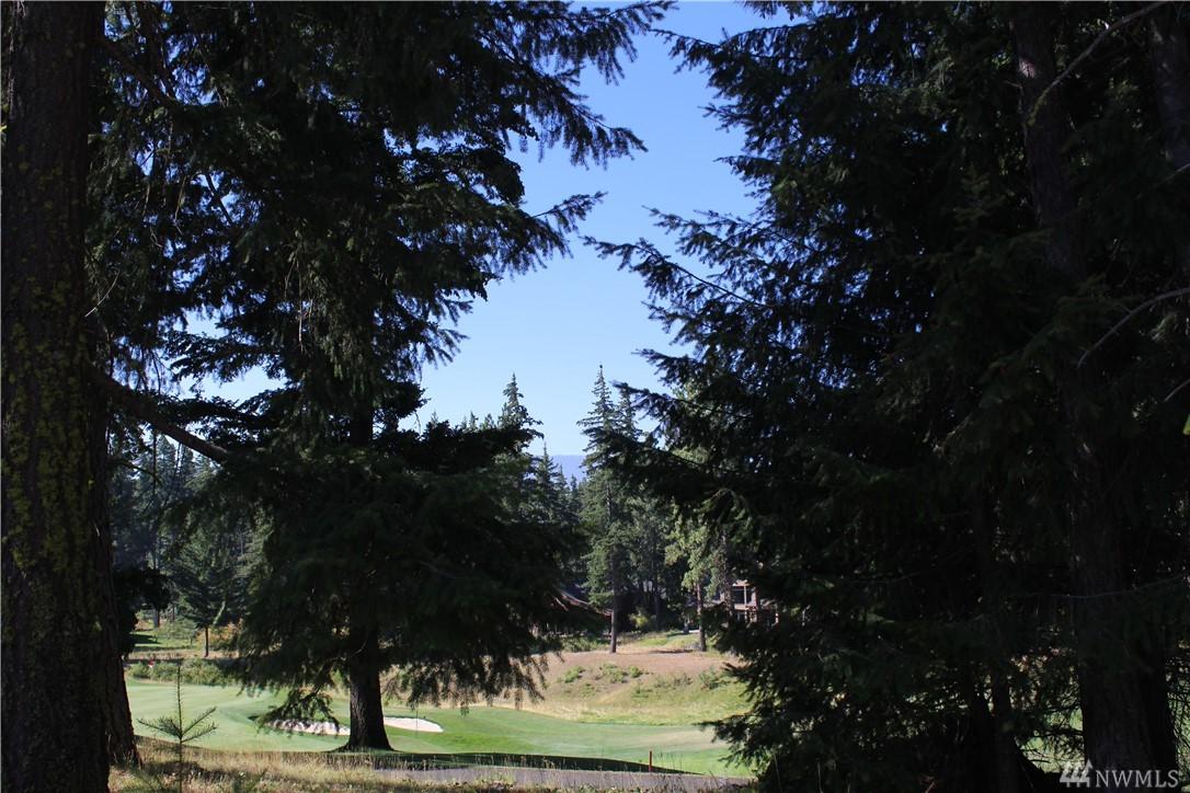 1561 Larkspur Lp - Photo 1