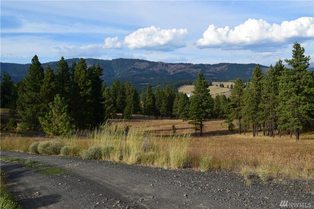 11-XXX Hwy 970 - Photo 1