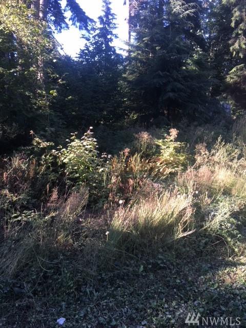 136-xx River Road - Photo 1