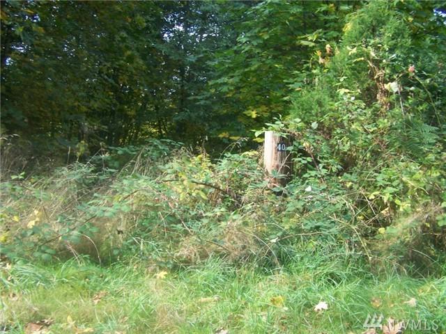 110 Annas Wy - Photo 1