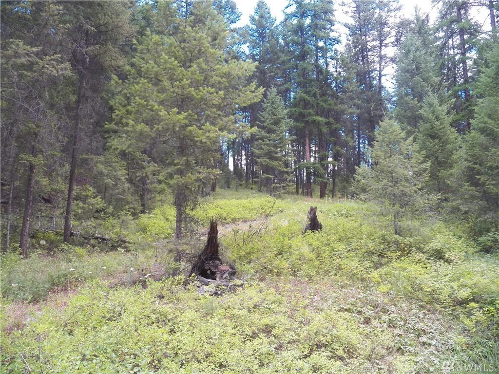 0-tbd Nicholson Creek Rd - Photo 1