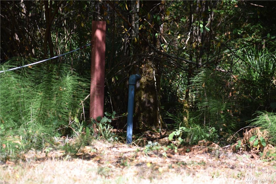 251 Willapa Rd - Photo 1
