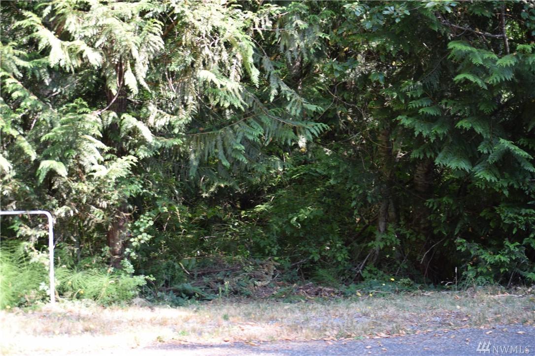 260 Willapa Rd - Photo 1