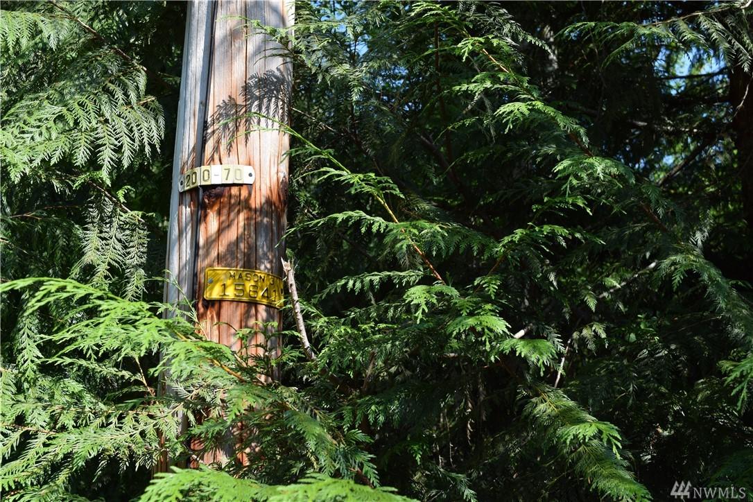 261 Willapa Rd - Photo 1