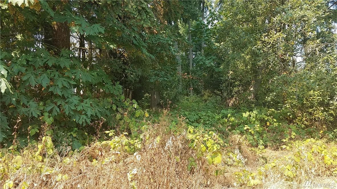 34501 52nd Ave - Photo 1